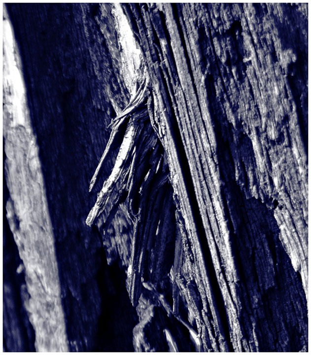 Splintered
