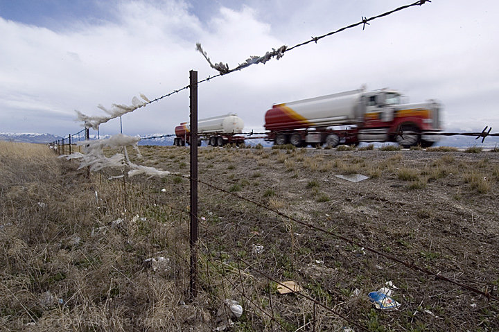 Roadside Trash