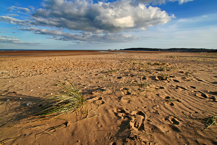 Low Tide