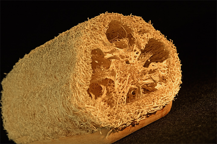 Luffa