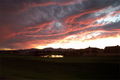 Arizona Sunset