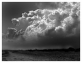 Stormfront