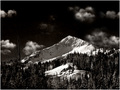 Solitude