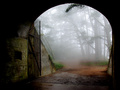 Tunnel
