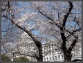 Capitol Spring