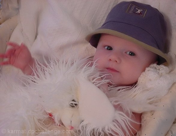 Child Portrait