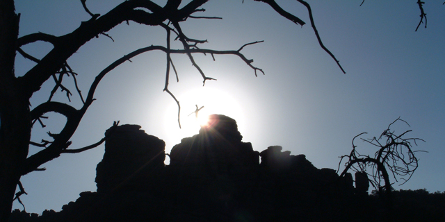 Chiricahua Sunset