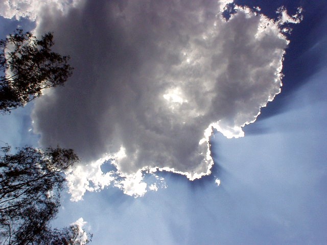 Eucalyptus Clouds 2002