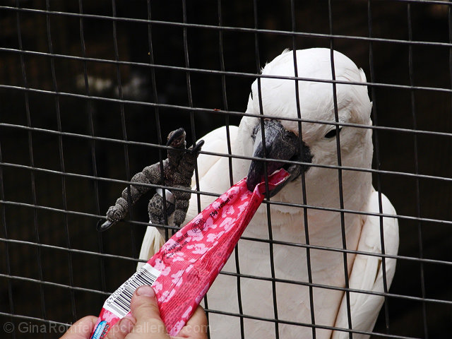 Tug of War