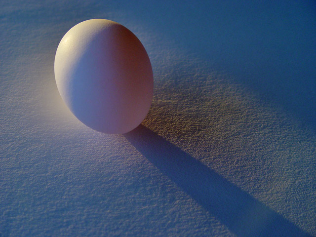 Egg