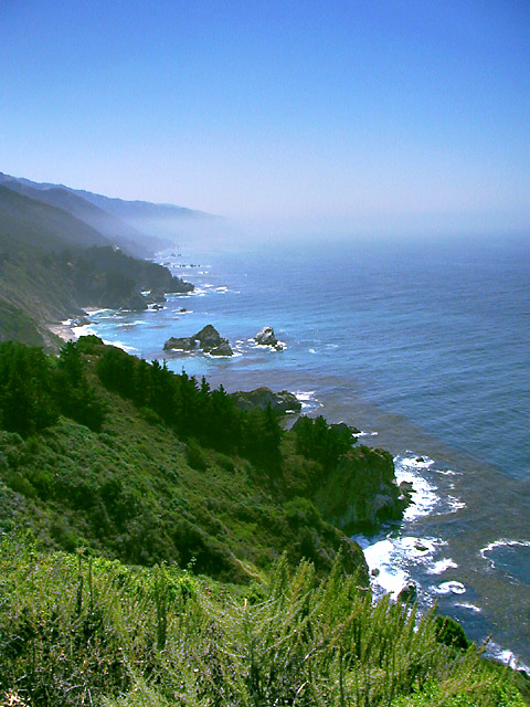 Kelp-Lined Coast