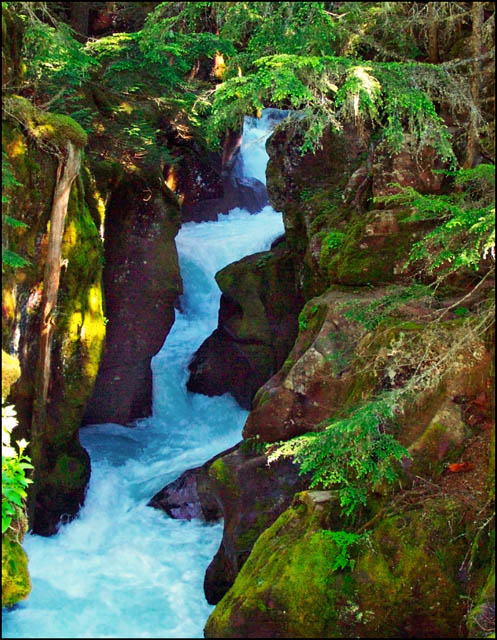 Gorge at Trail of the Cedars