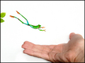 Into My Hand