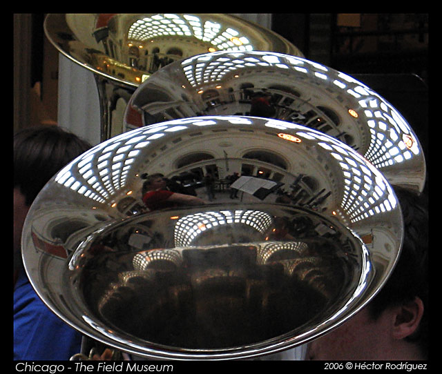 Chicago\'s Field Museum