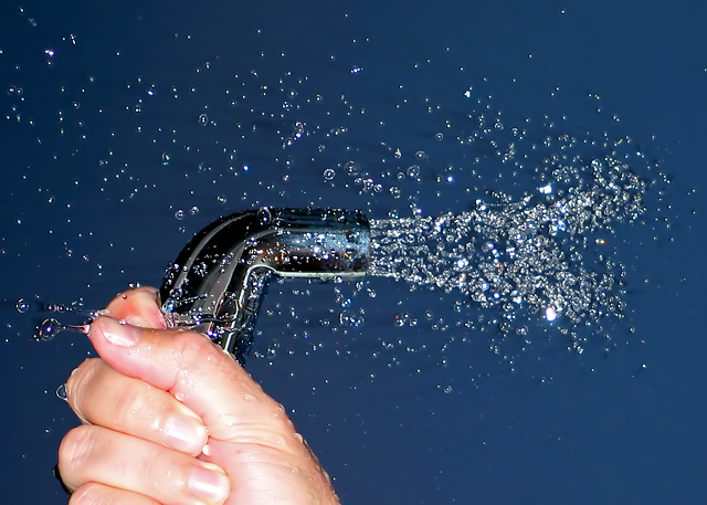 squirter on the side of a kitchen sink