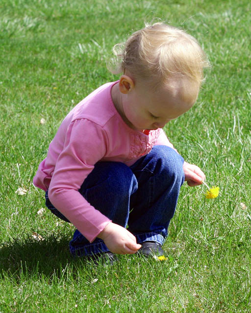 Picking Flowers