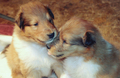 Winston and Clementine