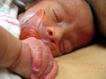 Newborn