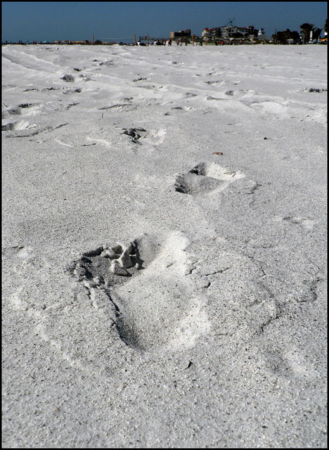 Fresh Footprints