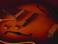 Sugar  -- 1958 Gibson guitar