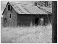 Behind the forgotten barn