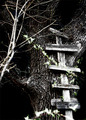 tree house