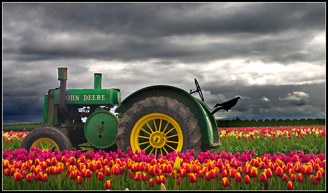 Vintage Deere