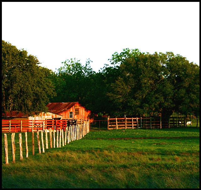 Little Red Barn