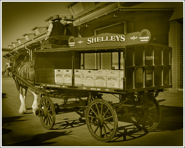 Shelleys since 1893