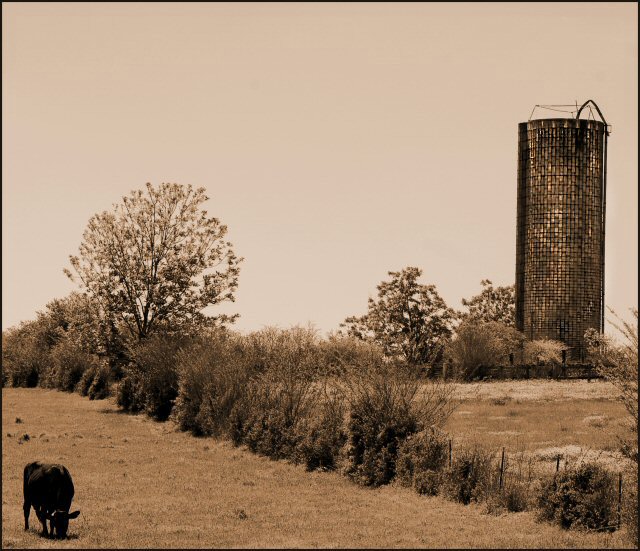 Forgotten Silo