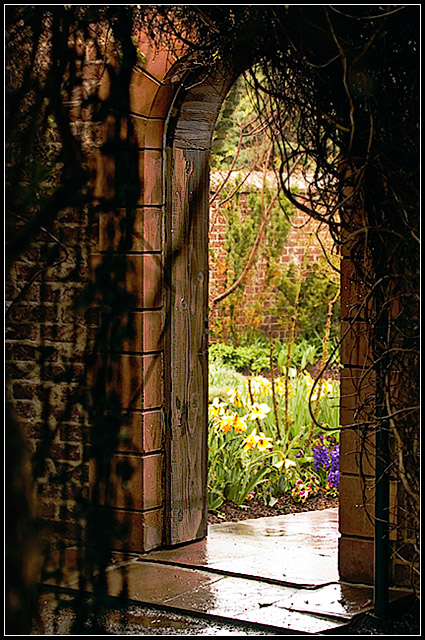 Hidden Door to the Secret Garden