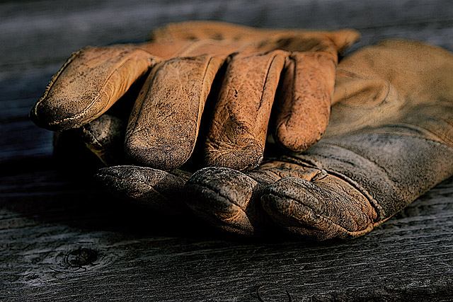 Trusty Old Gloves