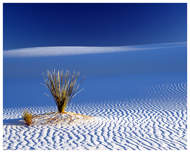 Sands of Time