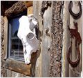 The Cowboy Way