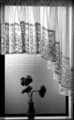 The vase