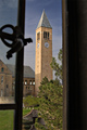 Clock tower through window