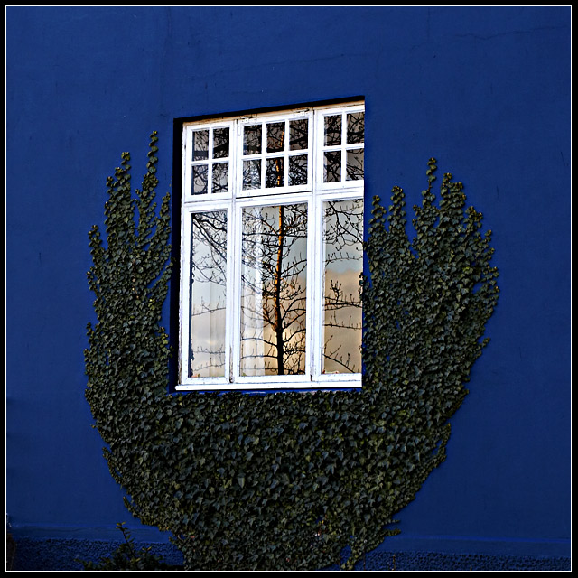 A window framed
