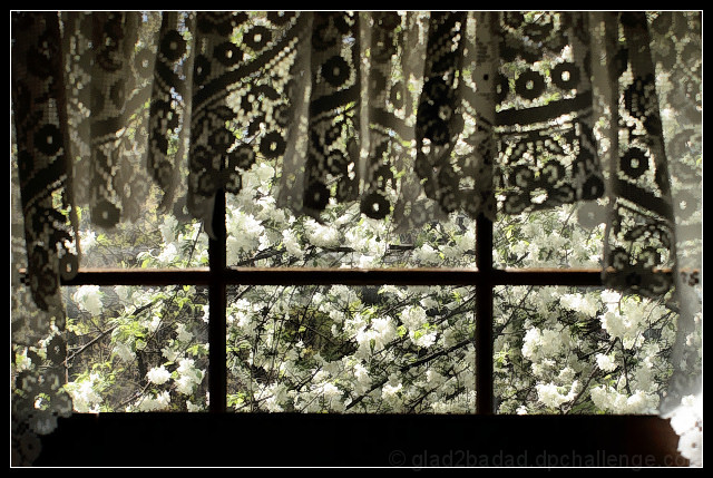 Window Bouquet