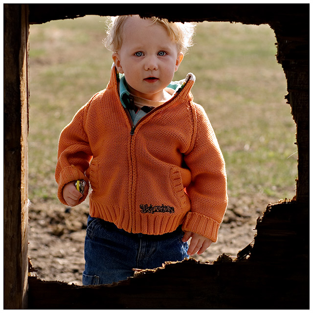 Looking into the Treehouse