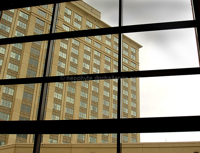 Windows Through The Panes