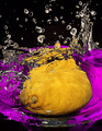 A large dash of Lemon
