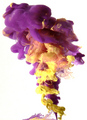 Yurple