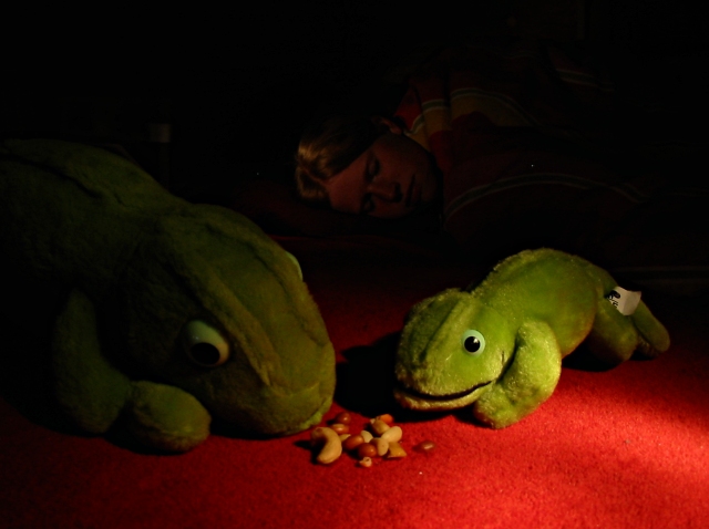 When it gets night, they come out ...