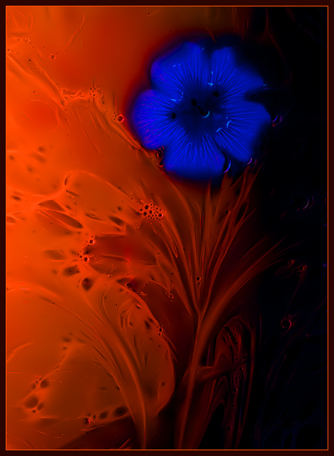 blue/orange