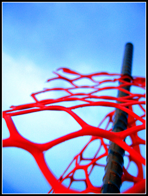 [honeycombs in the sky]