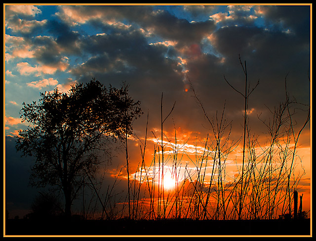 Orange and Blue Sunset