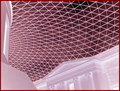 British Museum