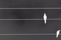 Two Crows and Three Lines