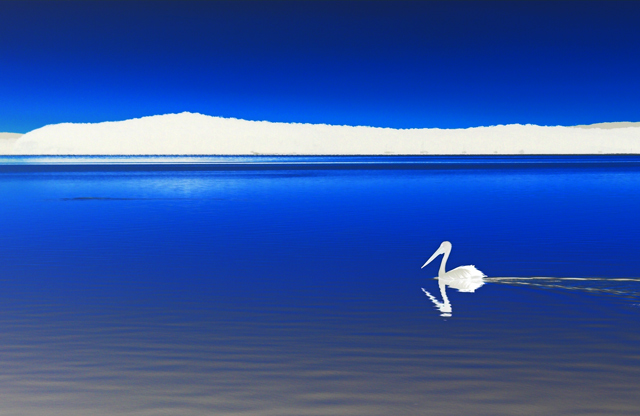 Serenity