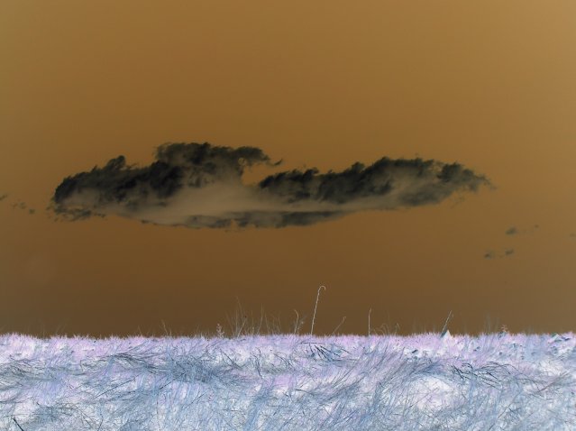 Dark Day in a Land of Opposites